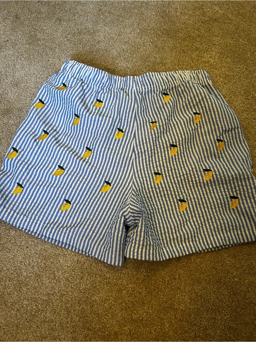Striped Blue Lemon Italian Embroidered Men's Swim Trunks
